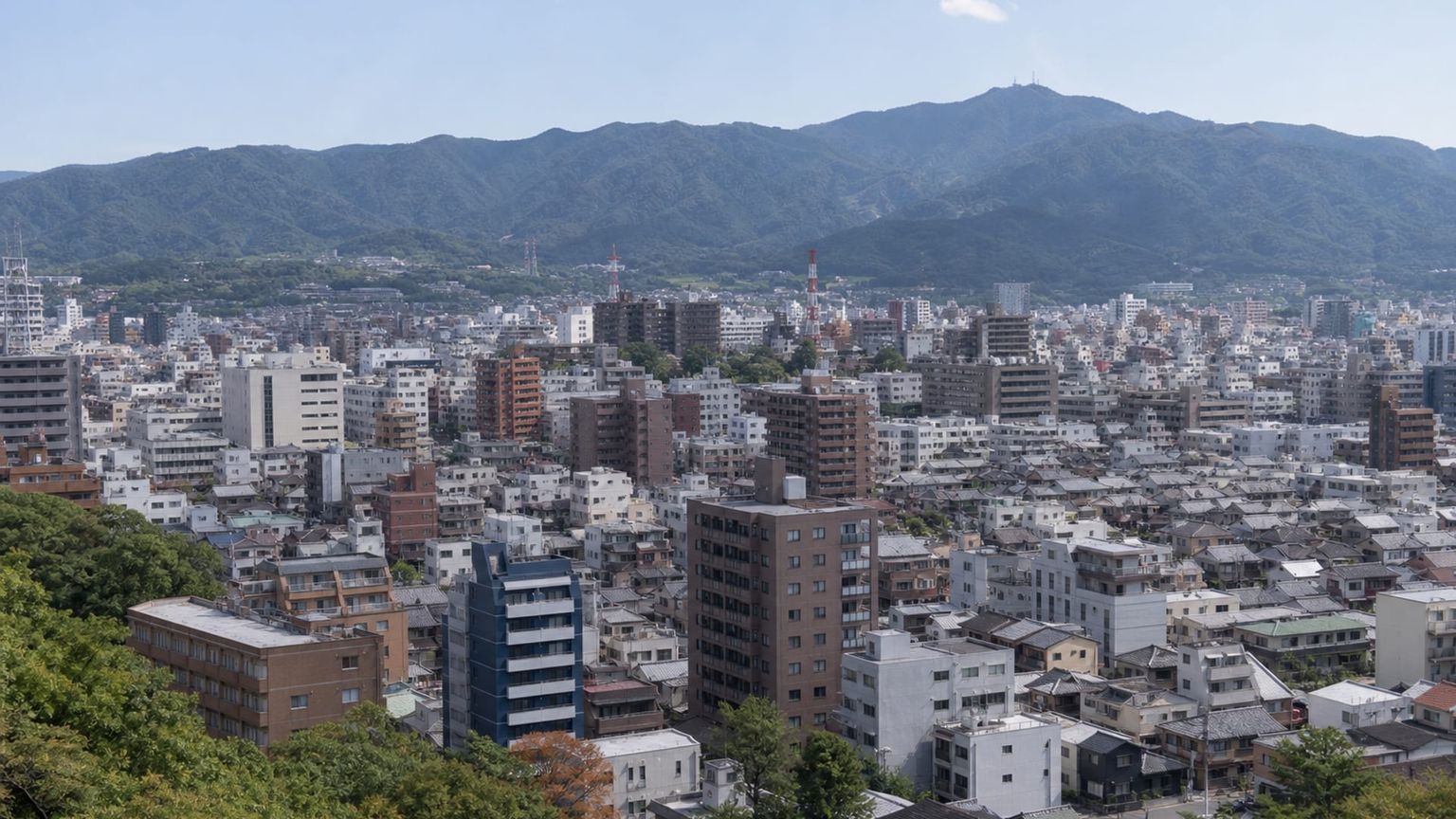 Matsuyama travel guide: How to experience the city without rushing 25 Traditional food