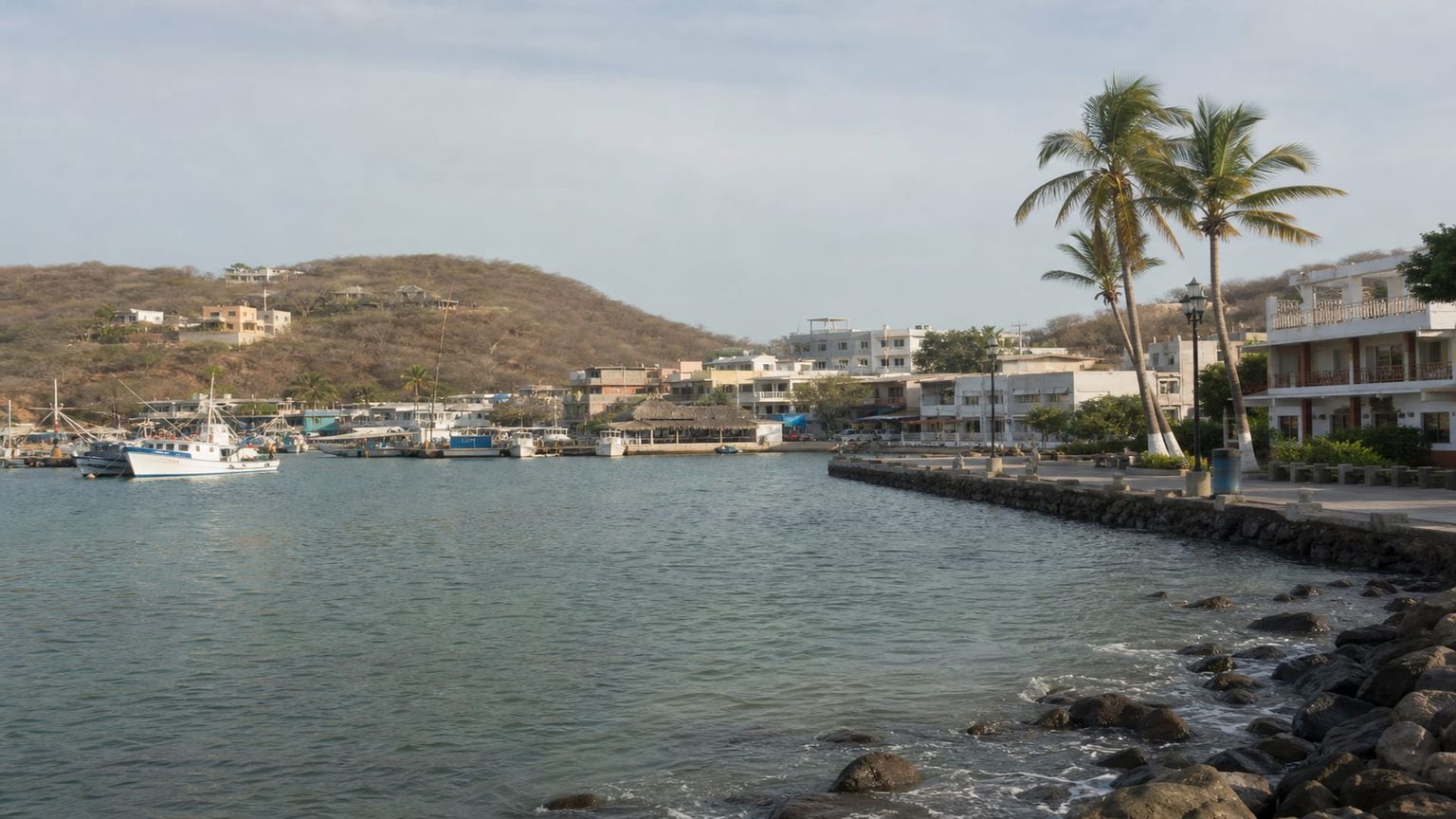 Manzanillo travel guide: How to experience the city without rushing 26 Traditional food
