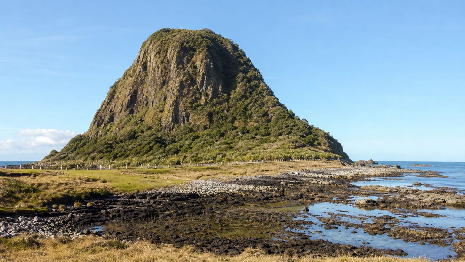 New Plymouth travel guide: How to experience the city without rushing 29 Day 3: Paritutu and Fitzroy