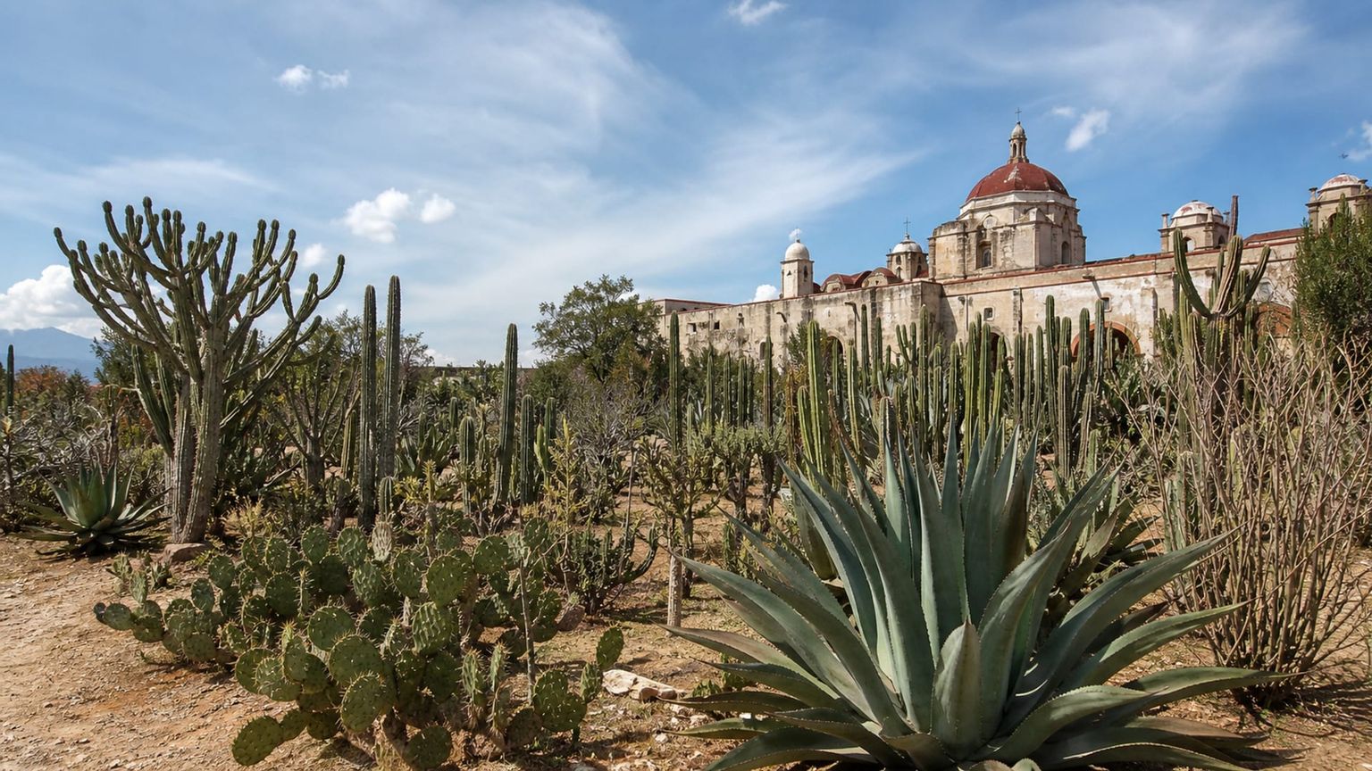 Oaxaca travel guide: How to experience the city without rushing 27 Day 1: Arrival and Adjustment
