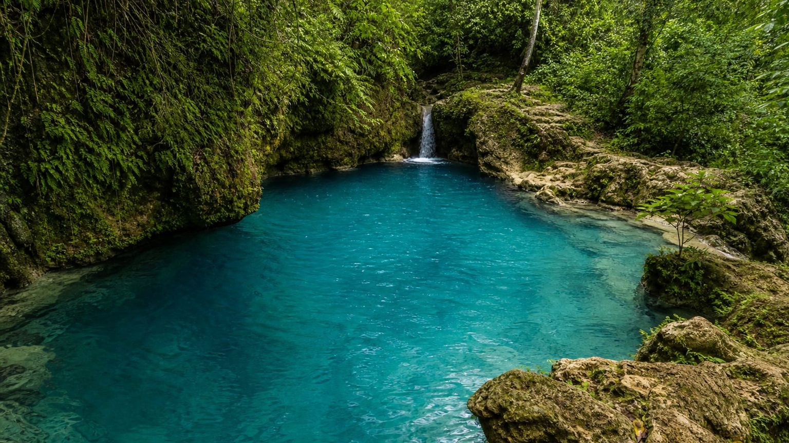 Ocho Rios travel guide: How to experience the city without rushing 28 Day 3: Blue Hole and Art