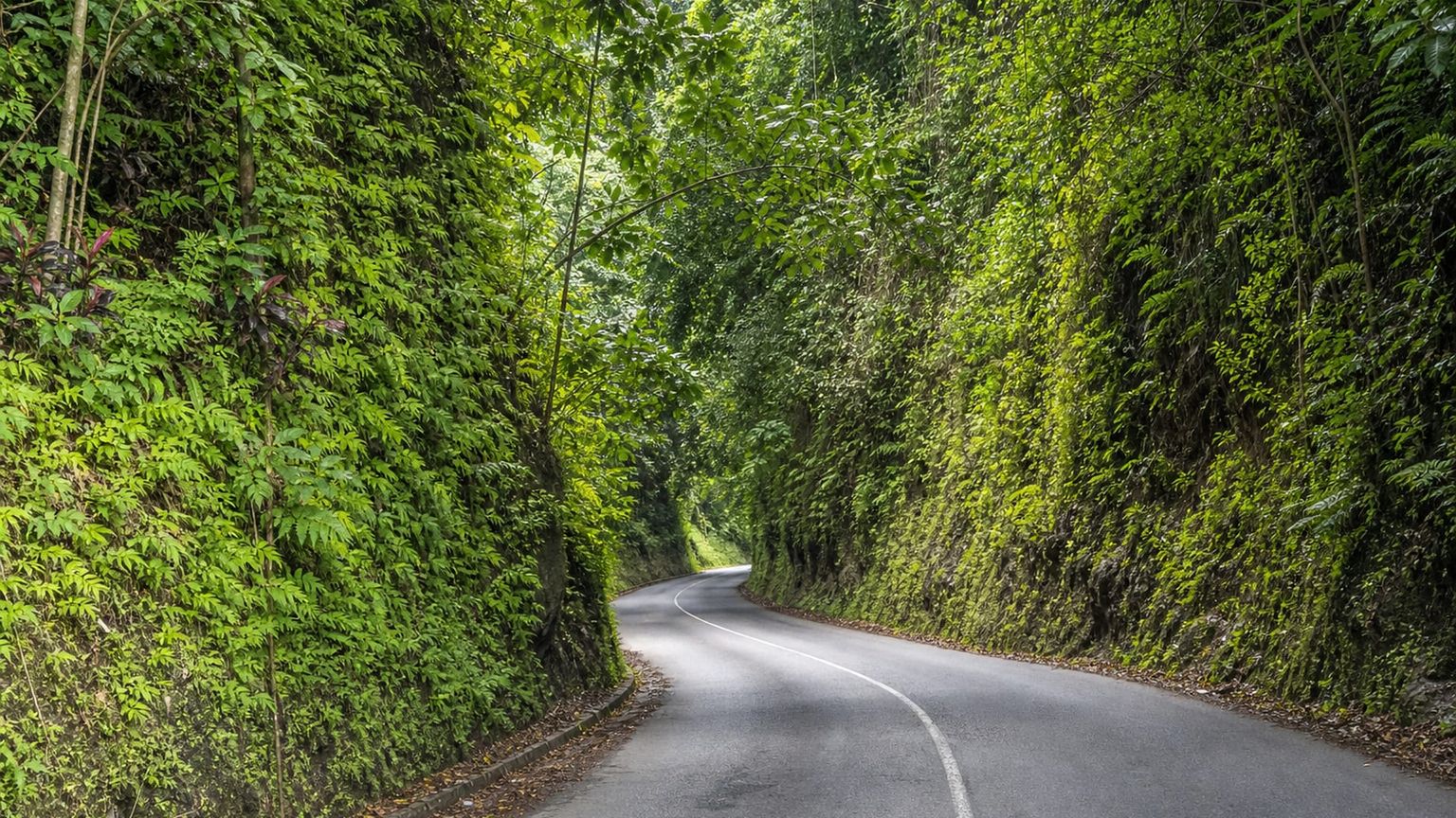 Ocho Rios travel guide: How to experience the city without rushing 29 Day 4: Fern Gully and Bayfront