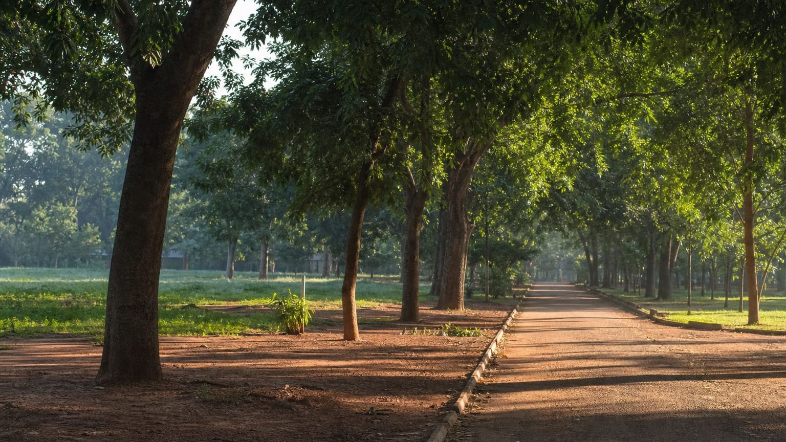 Ouagadougou travel guide: How to experience the city without rushing 15 Zone du Bois