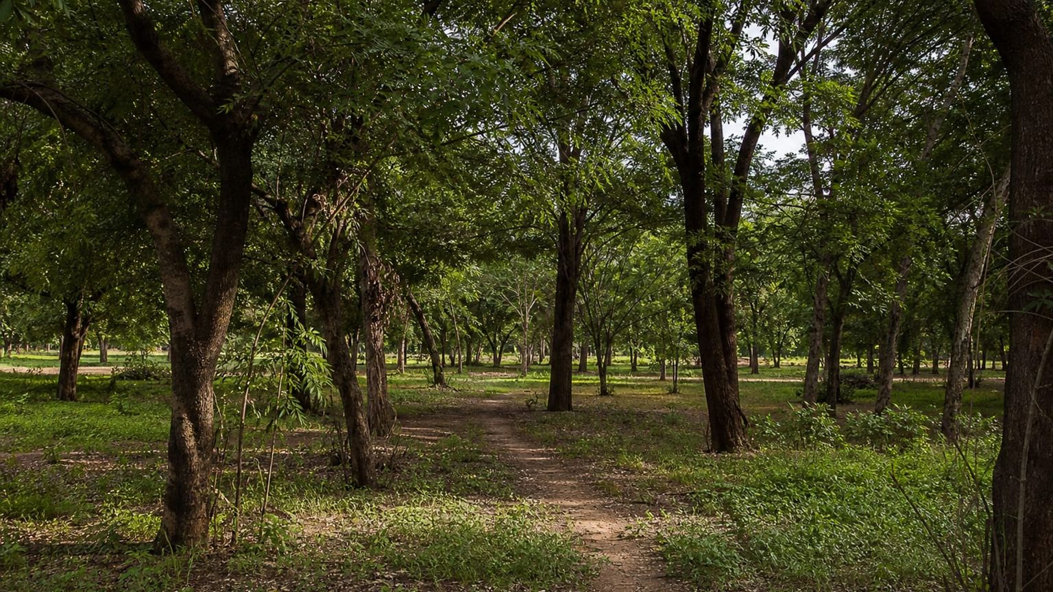Ouagadougou travel guide: How to experience the city without rushing 29 Day 3: Park and Music