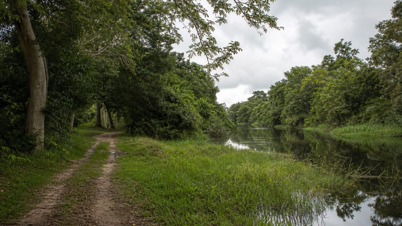Paramaribo travel guide: How to experience the city without rushing 29 Day 4: Peperpot Nature Park