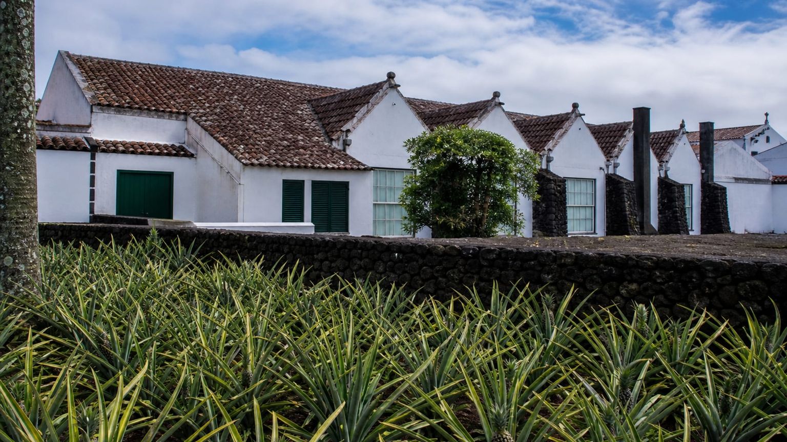 Ponta Delgada travel guide: How to experience the city without rushing 28 Day 3: Fajã de Baixo and the Harbor