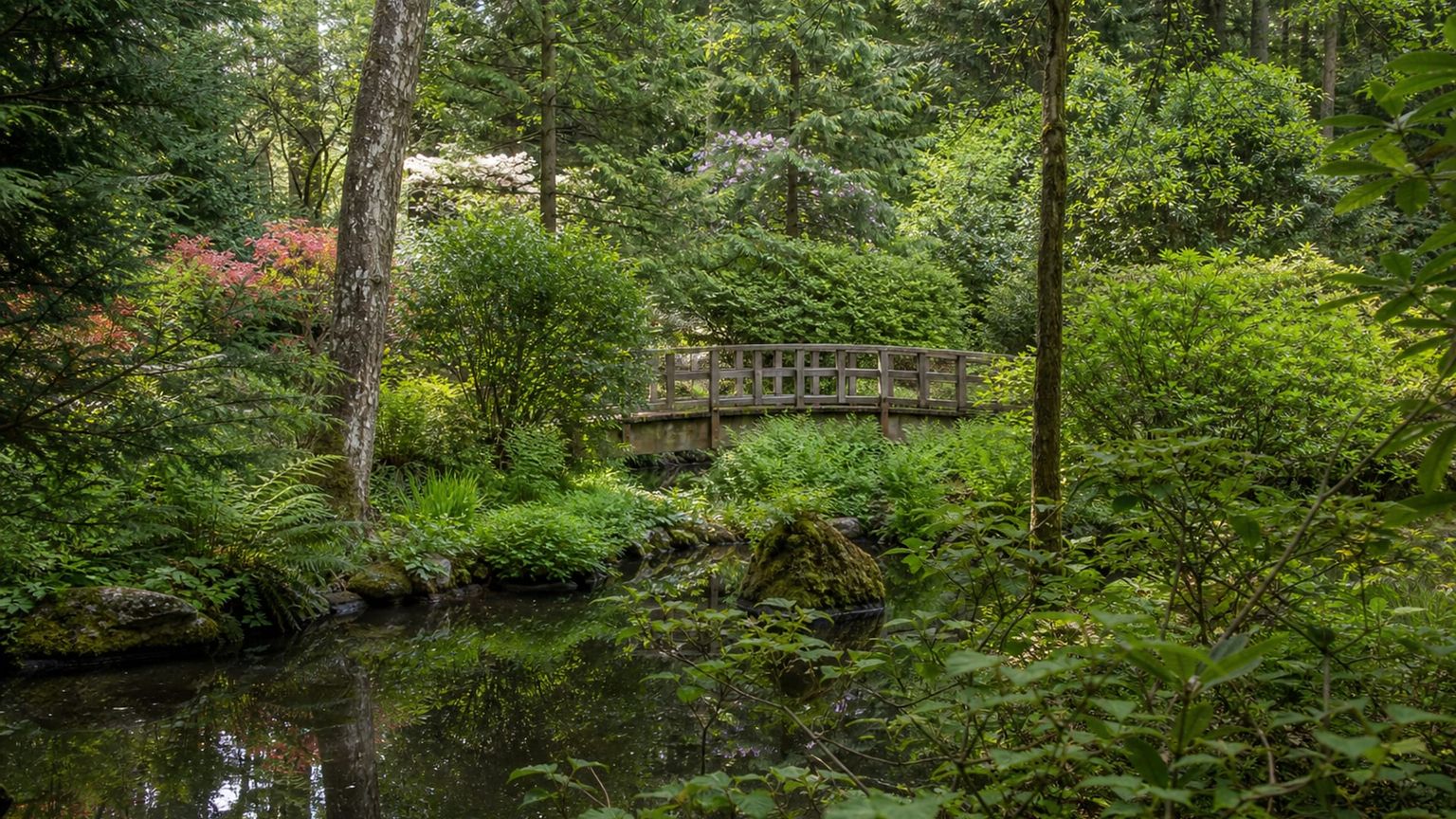 Portland travel guide: How to experience the city without rushing 29 Day 4: Rhododendrons and Foster