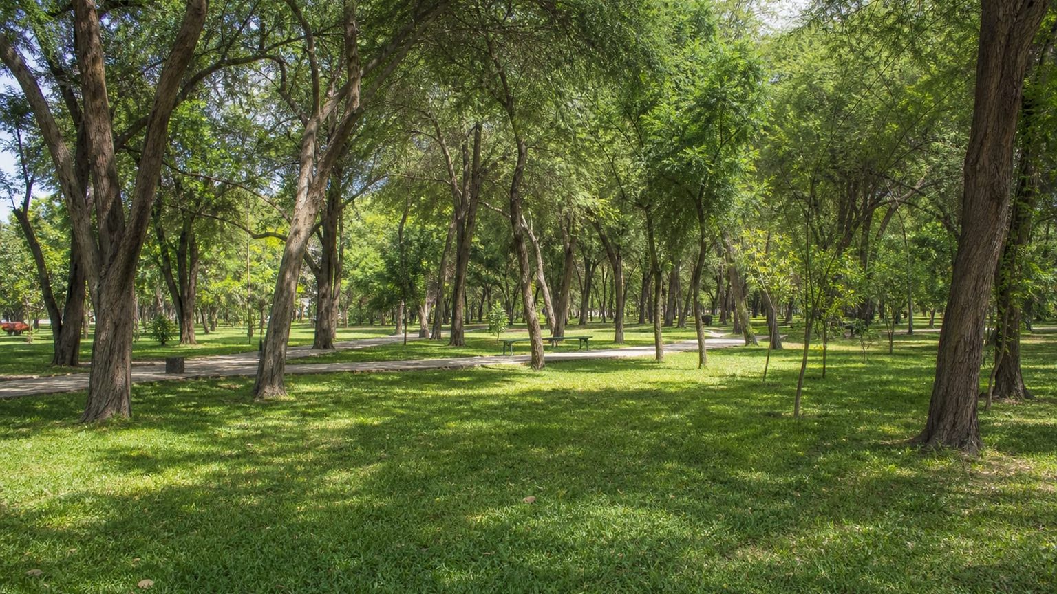 Piura travel guide: How to experience the city without rushing 29 Day 3: Museums and Park