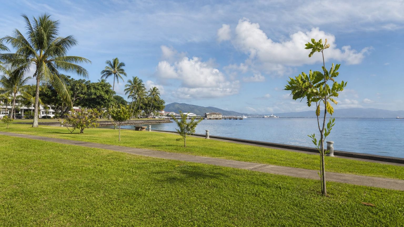 Tahiti travel guide: How to experience the city without rushing 27 Day 2: Papeete Market and Harbor