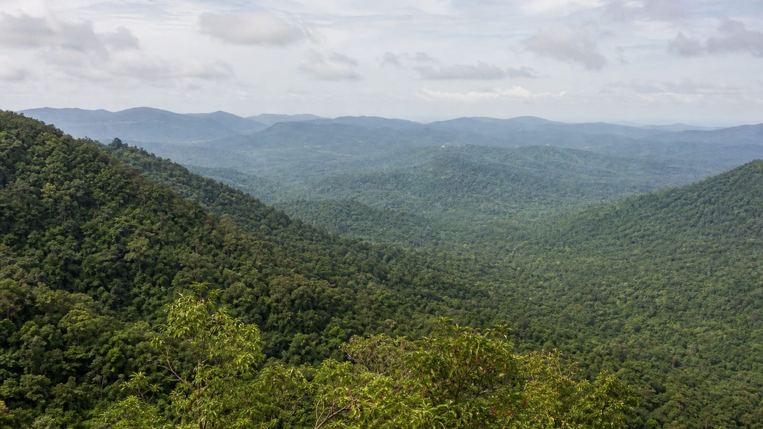Phu Quoc Island travel guide: How to experience the city without rushing 28 Day 2: Forest and Waterfall