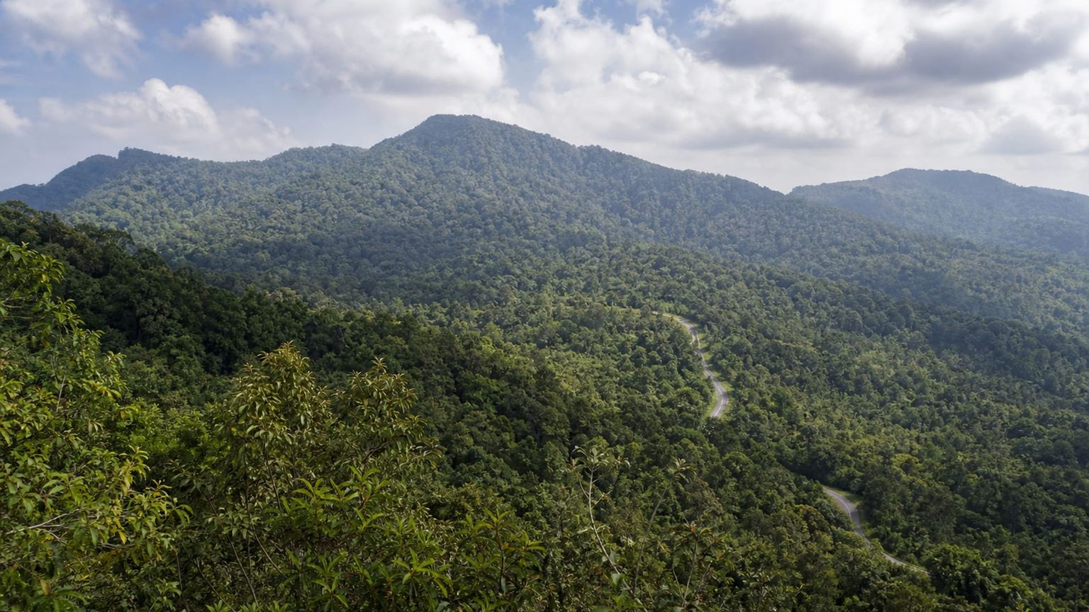 Phu Quoc Island travel guide: How to experience the city without rushing 22 Phu Quoc National Park