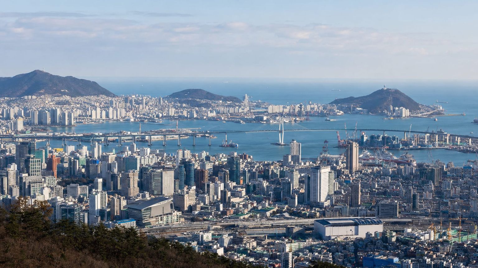 Busan travel guide: How to experience the city without rushing 32 Business-class flights from the US to Busan