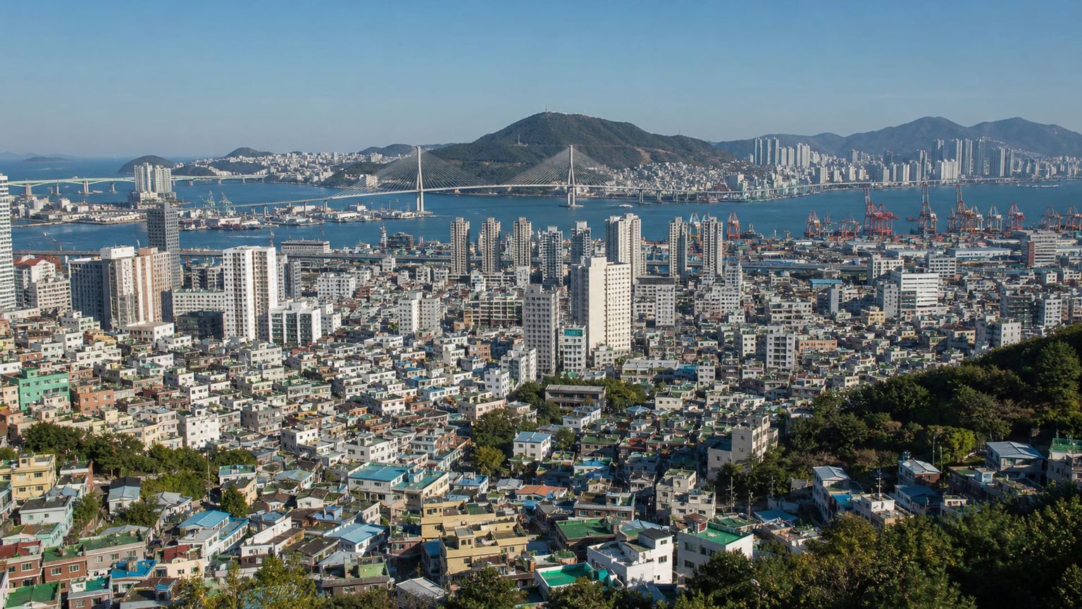 Busan travel guide: How to experience the city without rushing 3 Useful things to know