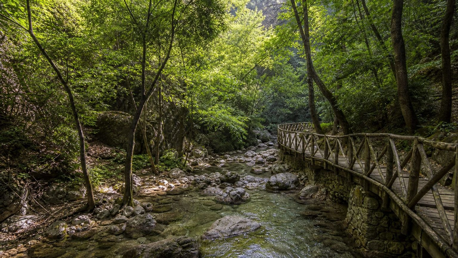 Rhodes travel guide: How to experience the city without rushing 29 Day 4: Mandraki and Butterflies