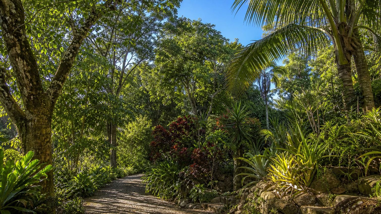 Roatan travel guide: How to experience the city without rushing 22 Carambola Botanical Gardens