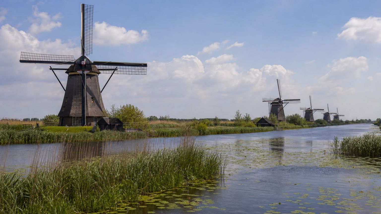 Rotterdam travel guide: How to experience the city without rushing 30 Day 4: Kinderdijk and Wartime History