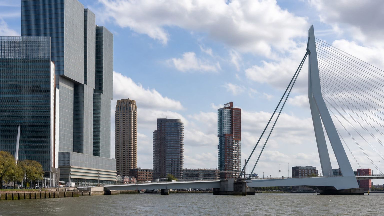 Rotterdam travel guide: How to experience the city without rushing 31 Day 5: Markets and Departure