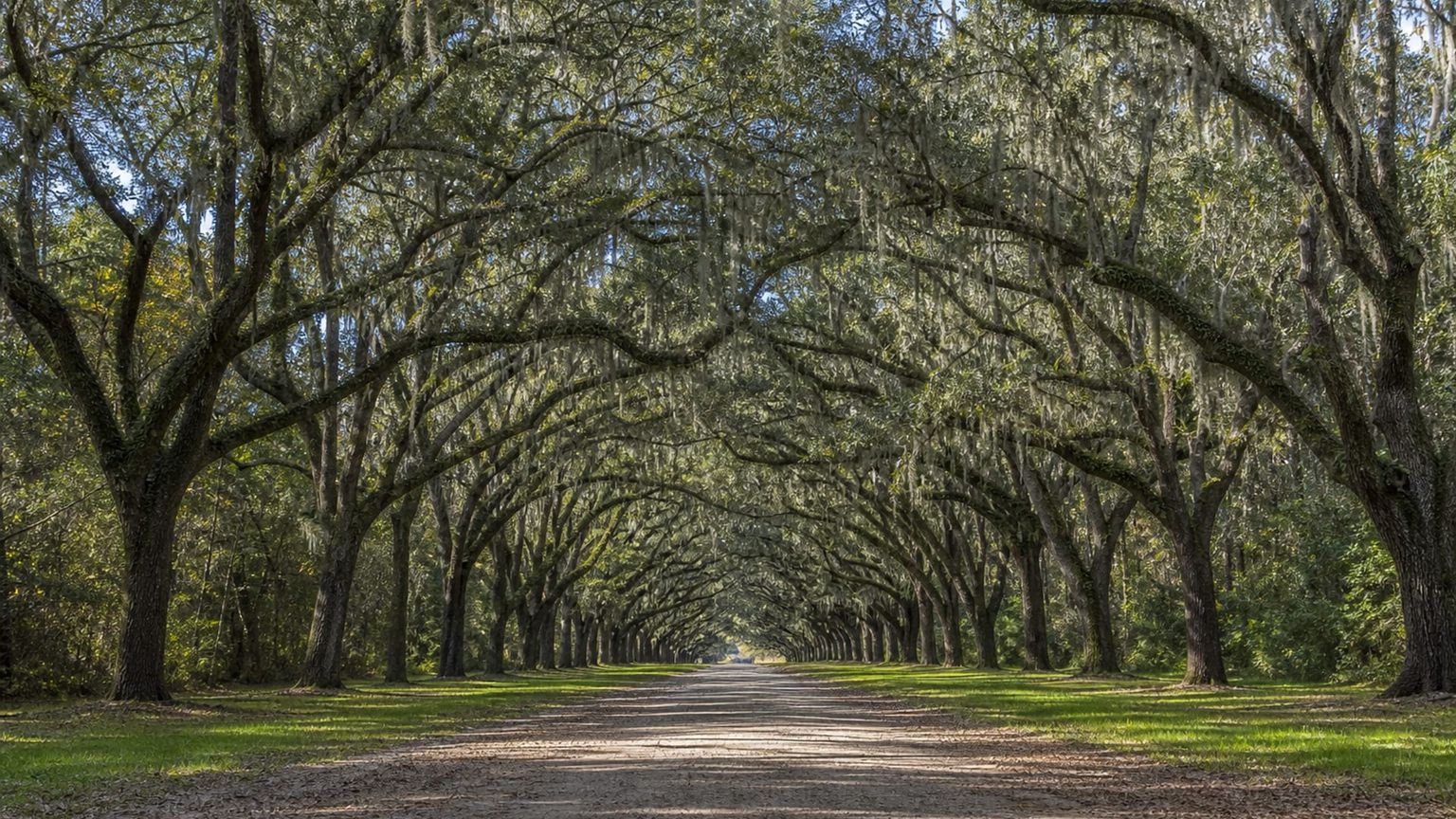 Savannah travel guide: How to experience the city without rushing 29 Day 3: Wormsloe and the South Side