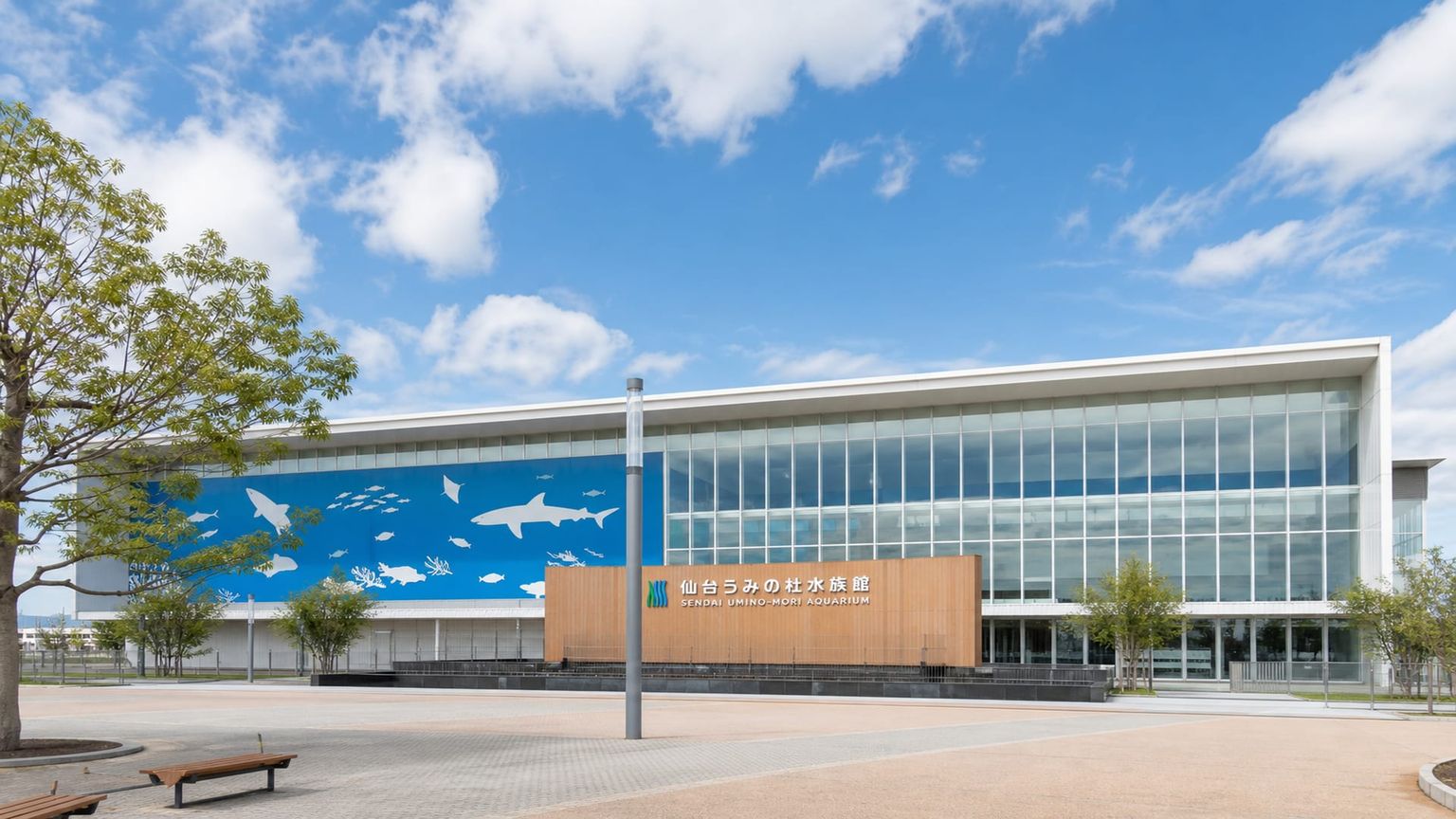 Sendai travel guide: How to experience the city without rushing 23 Sendai Umino-Mori Aquarium