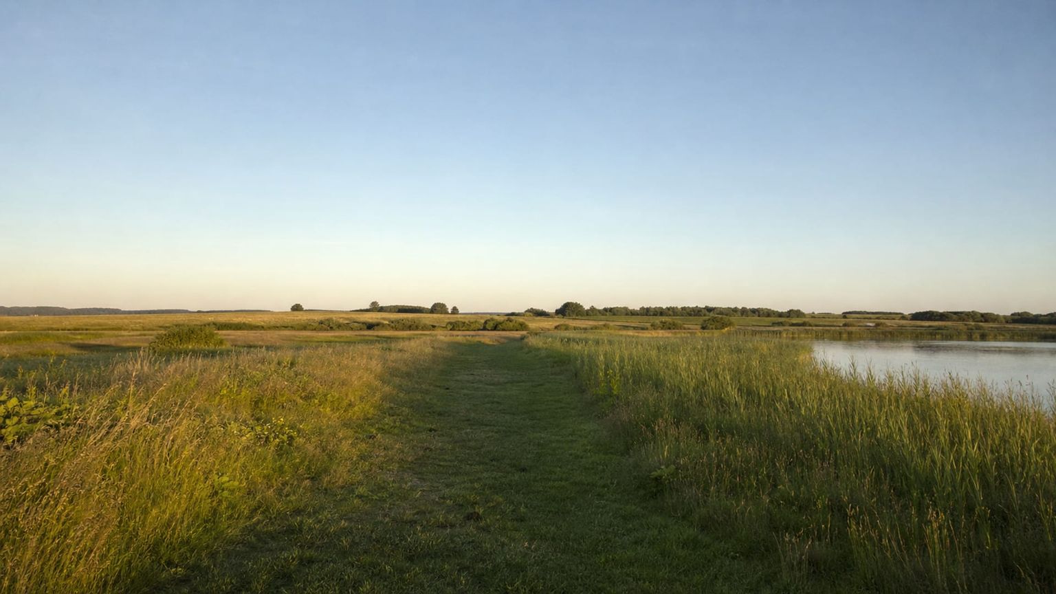 Sønderborg travel guide: How to experience the city without rushing 16 Kær Vestermark