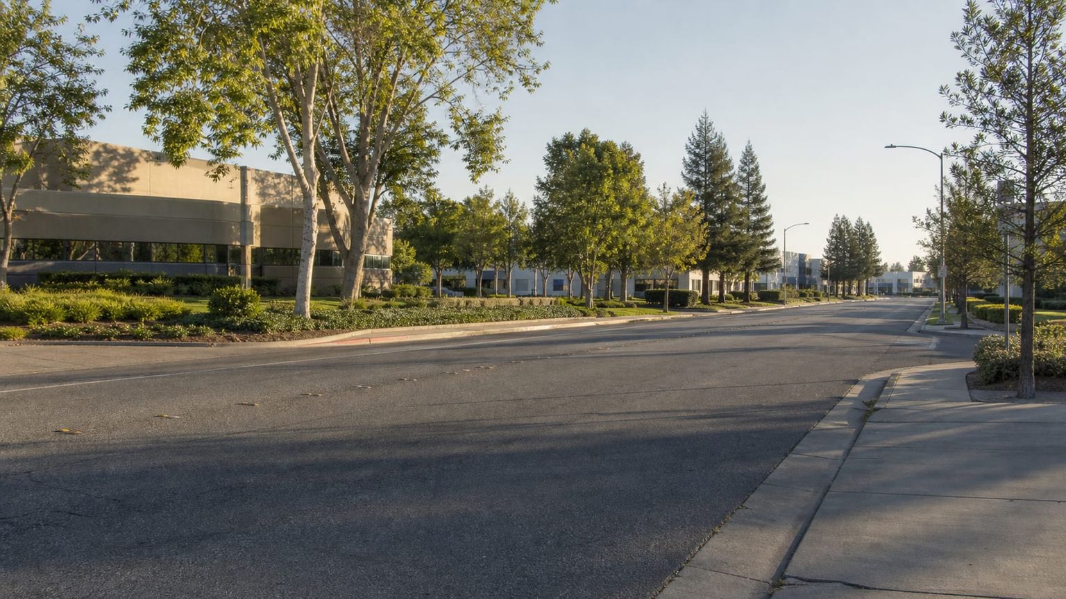 San Jose travel guide: How to experience the city without rushing 17 North San Jose