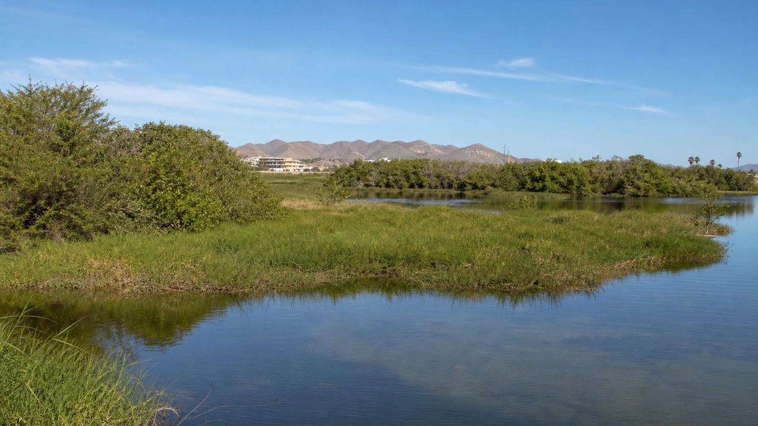 San José del Cabo travel guide: How to experience the city without rushing 28 Day 3: Estuary and Centro