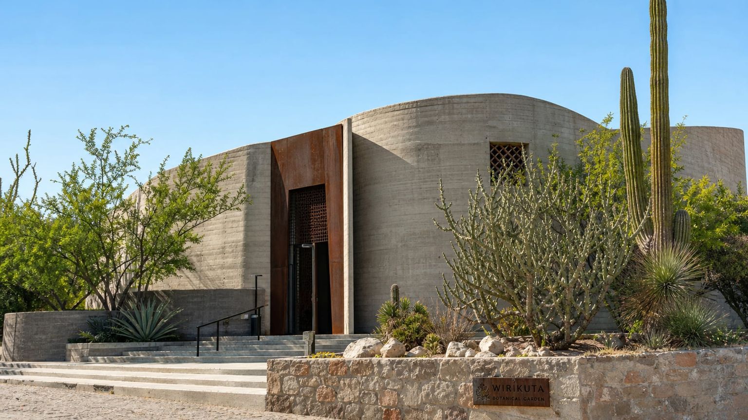 San José del Cabo travel guide: How to experience the city without rushing 22 Wirikuta Botanical Cactus Garden
