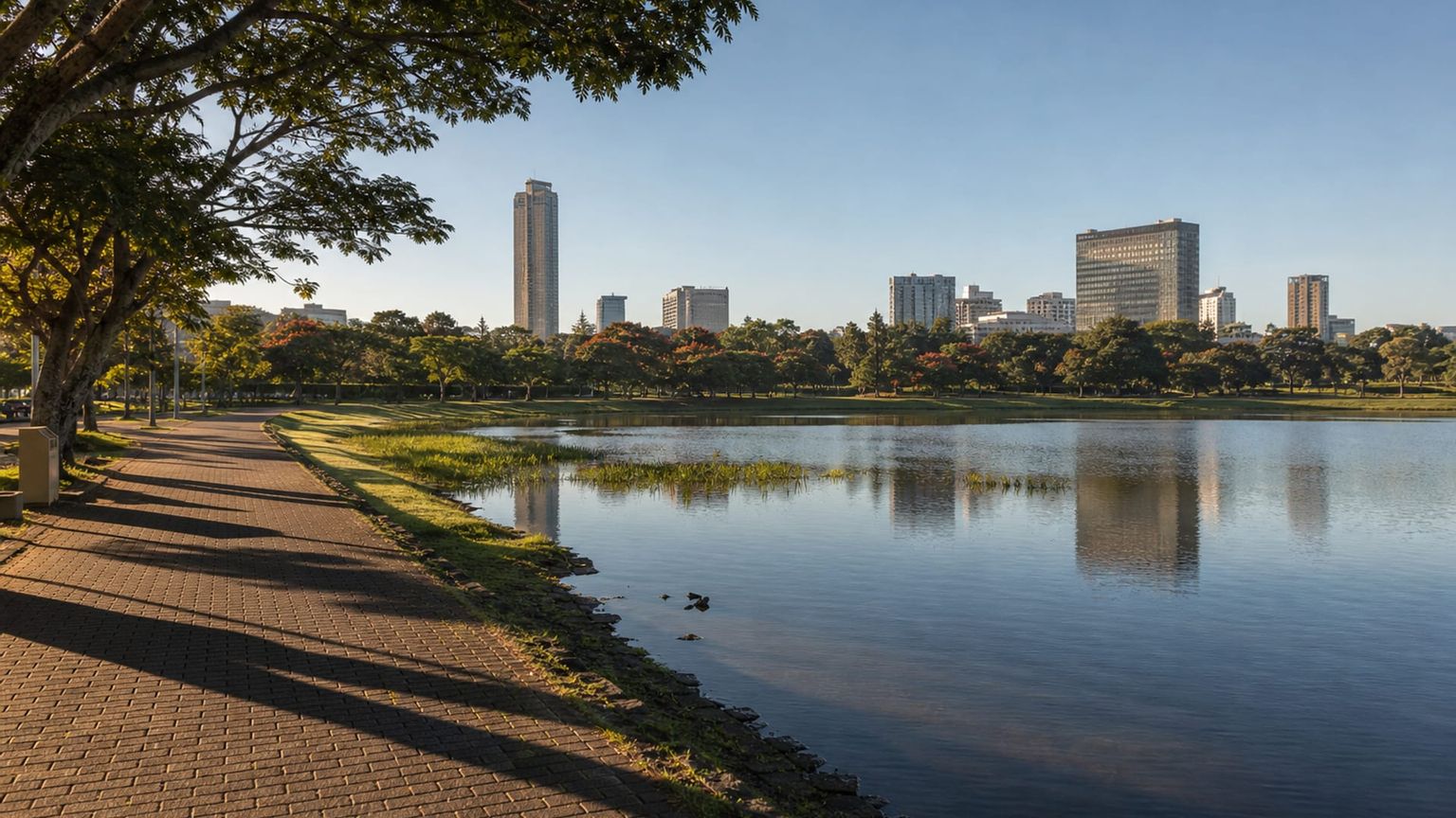 San José travel guide: How to experience the city without rushing 15 La Sabana