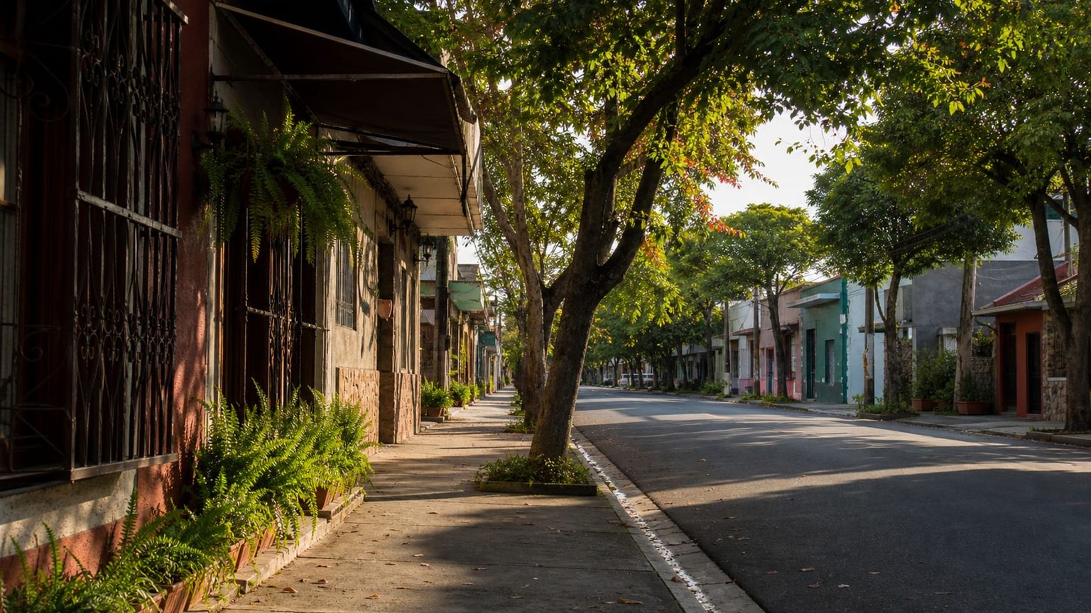 San José travel guide: How to experience the city without rushing 16 Barrio Escalante