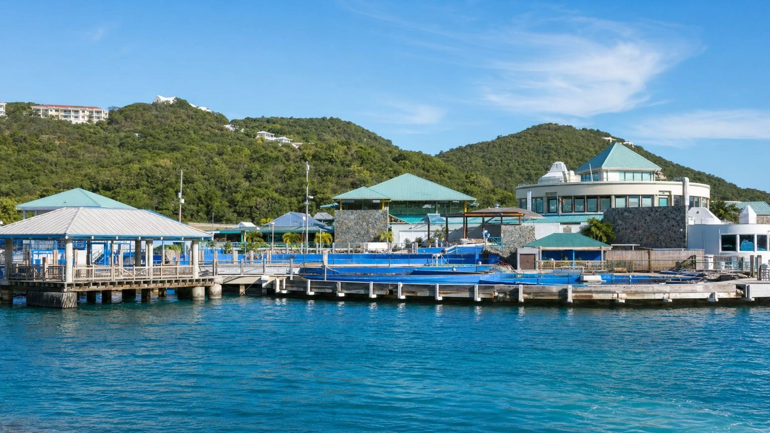 Saint Thomas travel guide: How to experience the city without rushing 23 Coral World Ocean Park