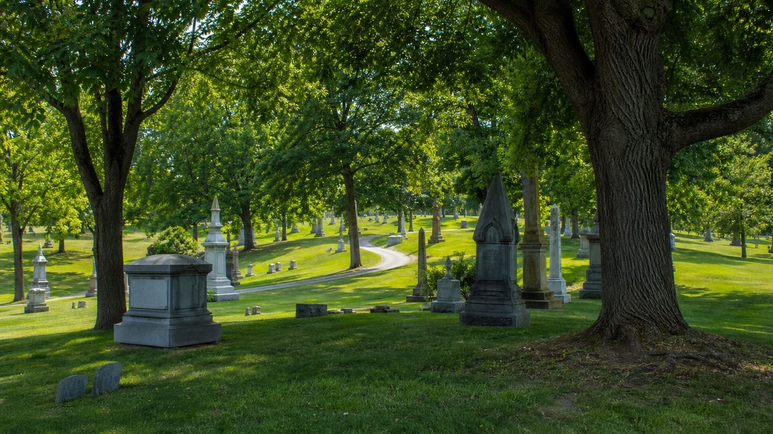 Syracuse travel guide: How to experience the city without rushing 29 Day 3: The MOST and Oakwood