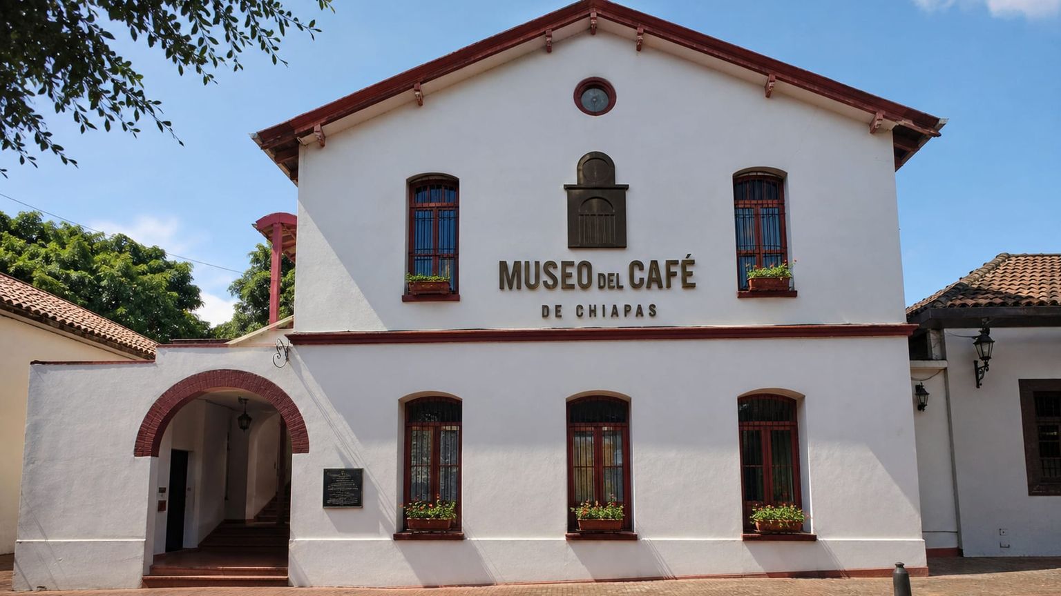 Tapachula travel guide: How to experience the city without rushing 28 Day 3: Coffee Museum Focus