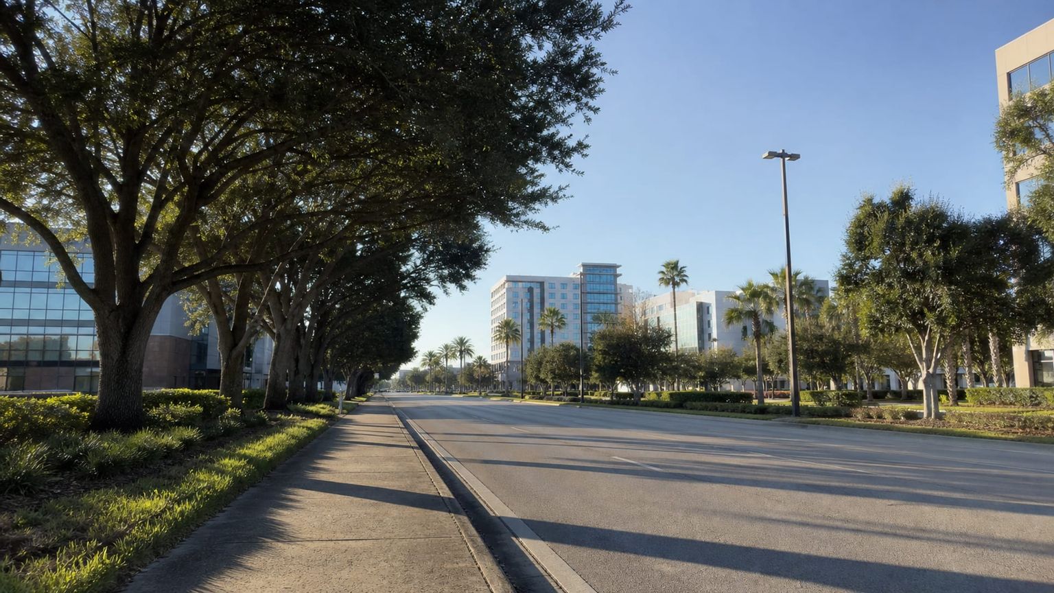 Tampa travel guide: How to experience the city without rushing 17 Westshore