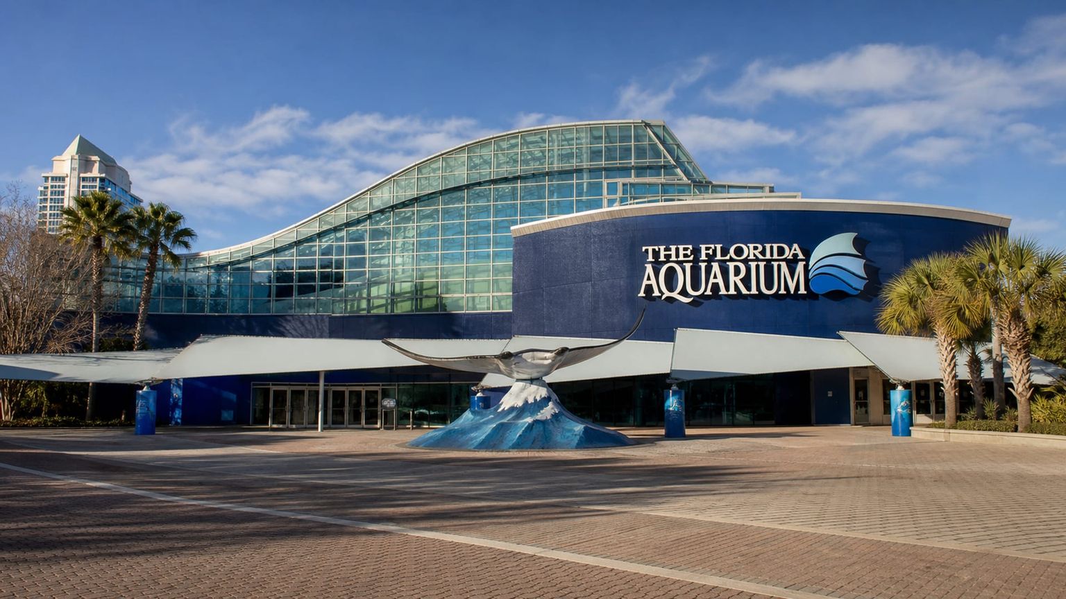 Tampa travel guide: How to experience the city without rushing 22 The Florida Aquarium