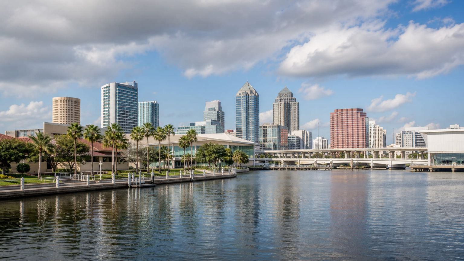 Tampa travel guide: How to experience the city without rushing 3 Useful things to know