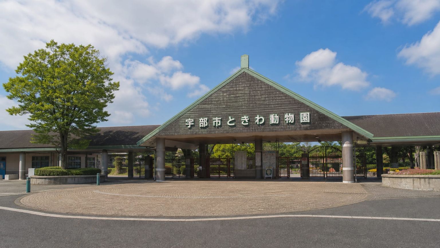 Ube travel guide: How to experience the city without rushing 22 Ube City Enjoyment Animal Forest