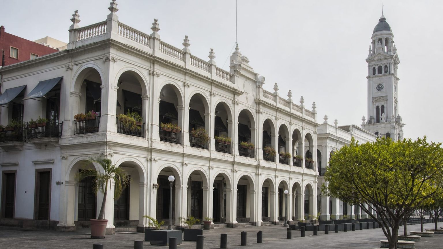 Veracruz travel guide: How to experience the city without rushing 26 Traditional food