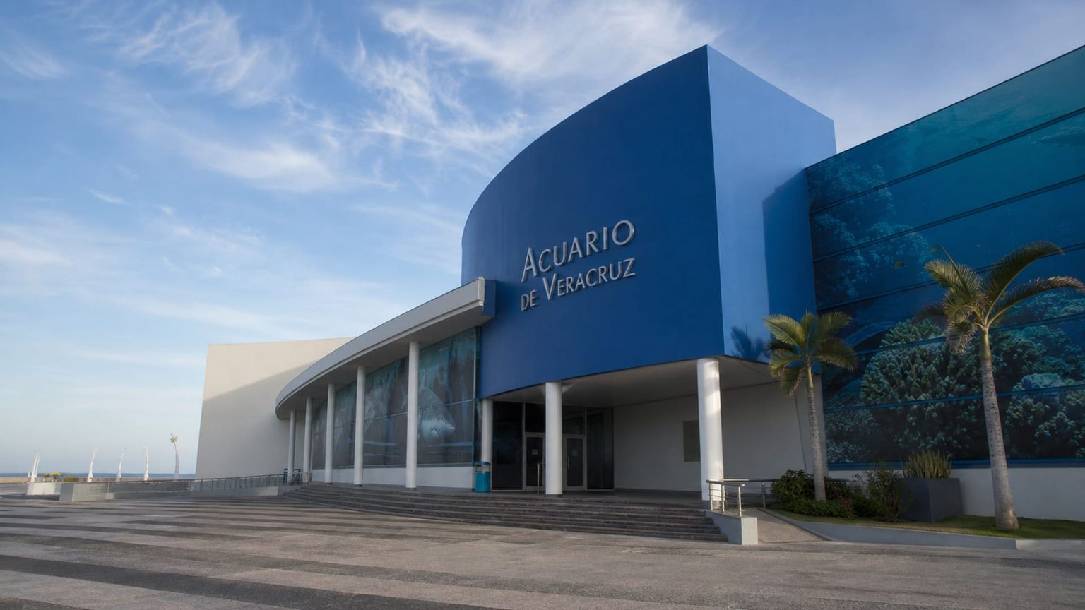 Veracruz travel guide: How to experience the city without rushing 22 Veracruz Aquarium