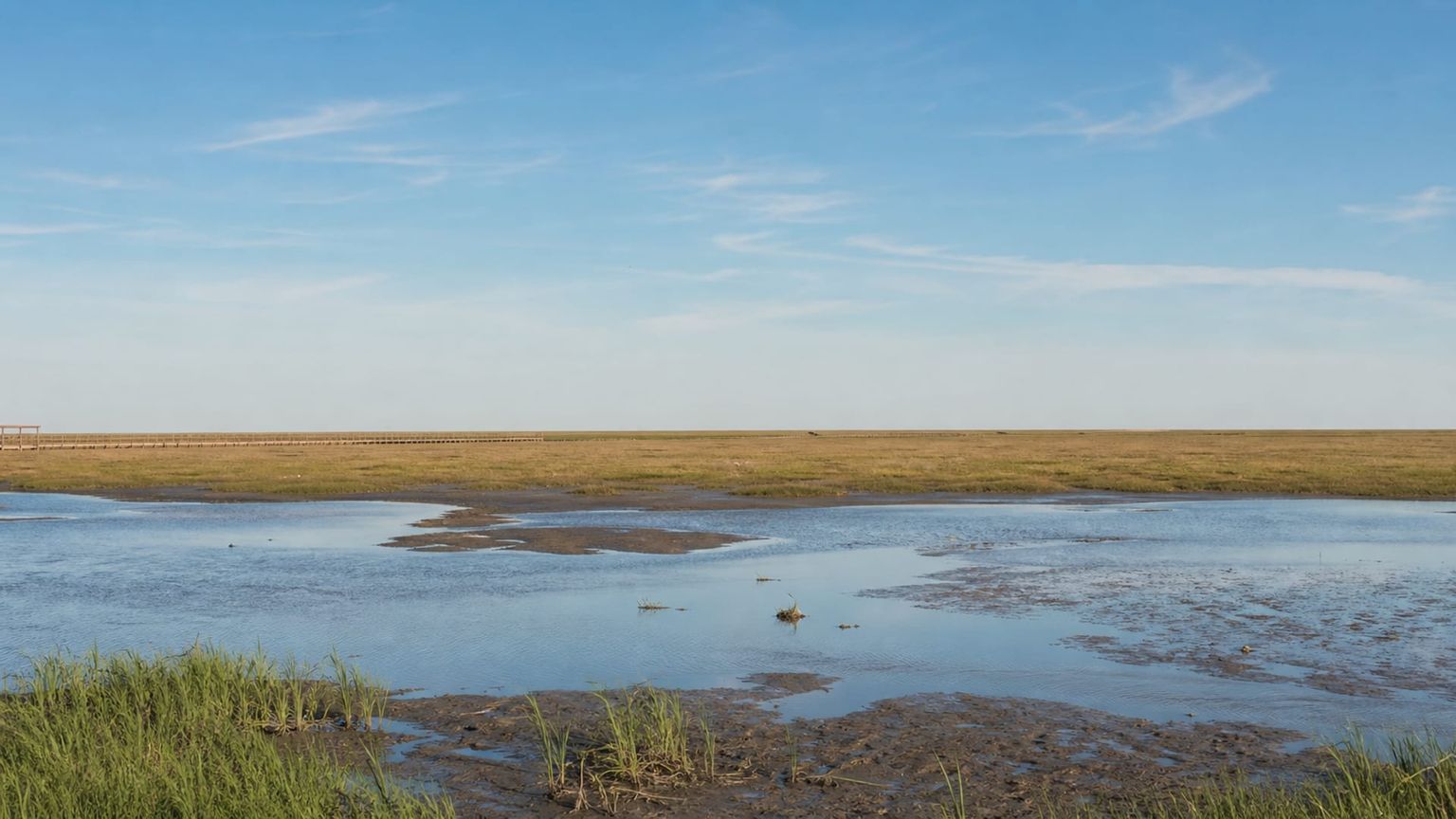 Yancheng travel guide: How to experience the city without rushing 29 Day 3: Sheyang Wetland Outing