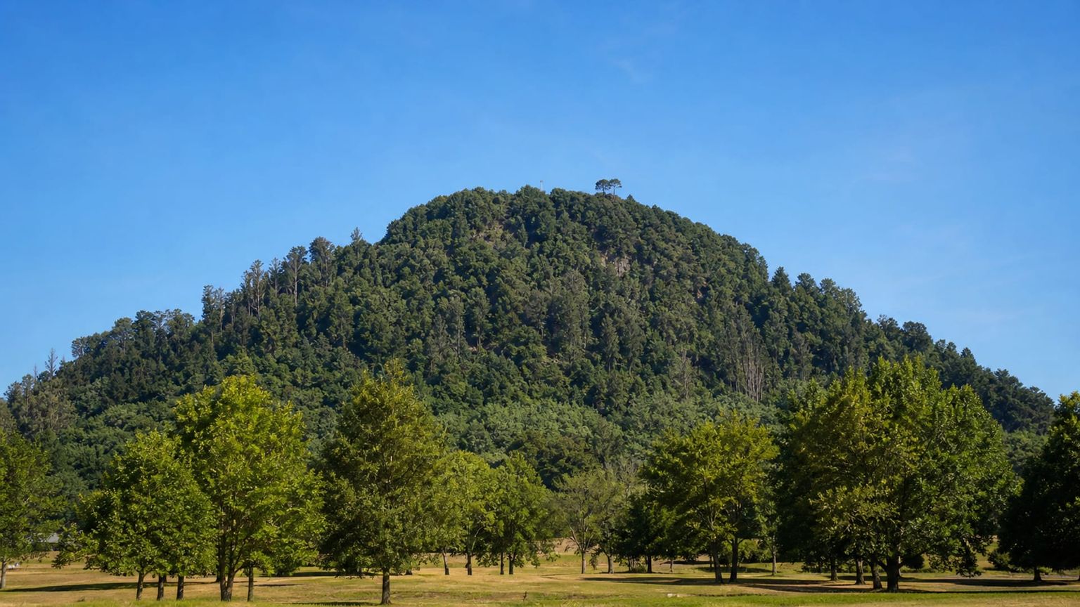 Temuco travel guide: How to experience the city without rushing 21 Monumento Natural Cerro Ñielol