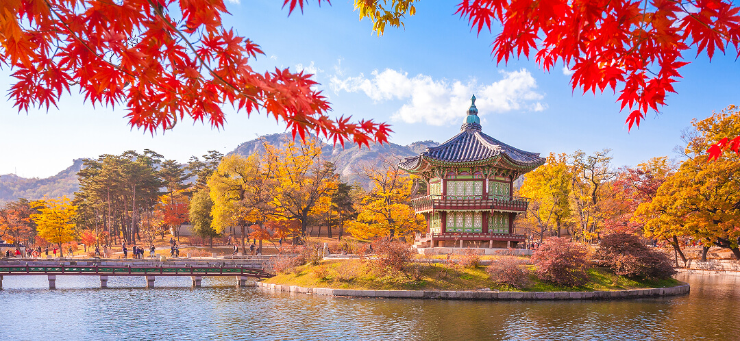 September 2026 US premium flight briefing 4 south korea fall travel