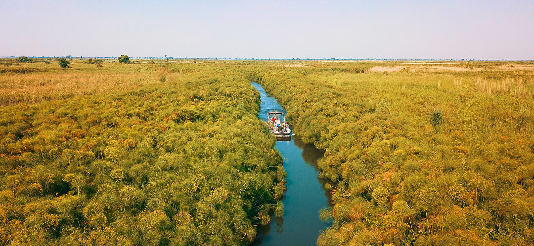 Bucket list travel destinations worth actually booking in 2026 7 okavango delta botswana safari