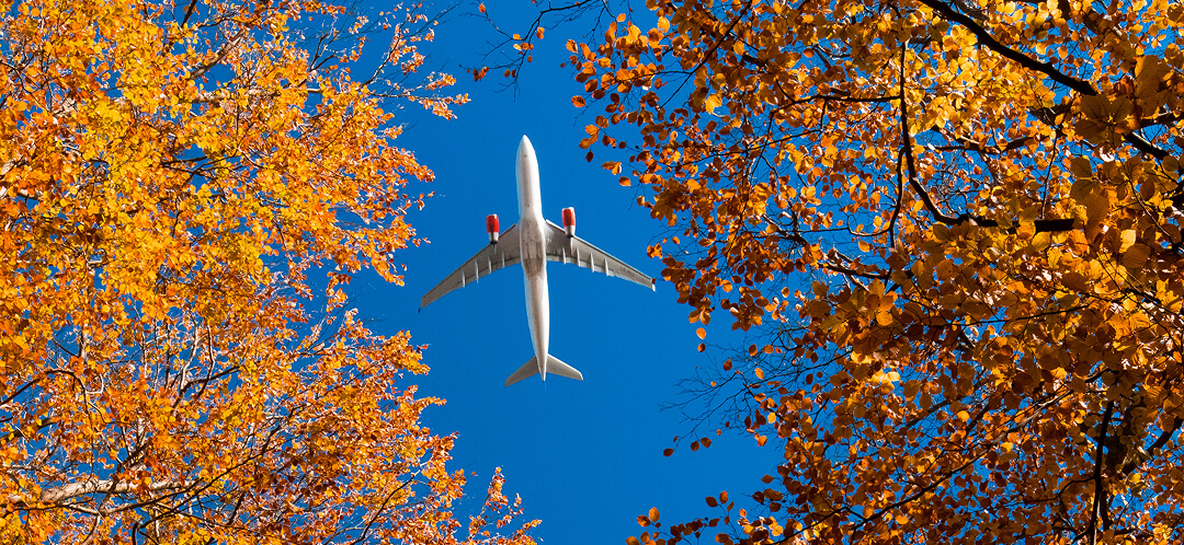 The best time to book Thanksgiving and Christmas flights in 2026 5 thanksgiving flights fall travel